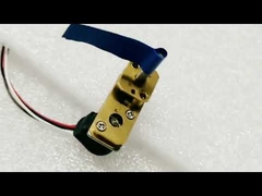 क्षैतिज इलेक्ट्रिक 24V DC गियर वाला स्टेपर मोटर उच्च टॉर्क